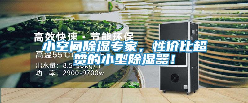 小空間除濕專家，性價比超贊的小型除濕器！