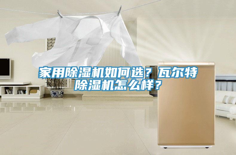 家用除濕機如何選？瓦爾特除濕機怎么樣？