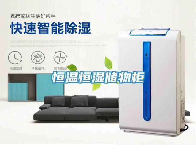 恒溫恒濕儲物柜