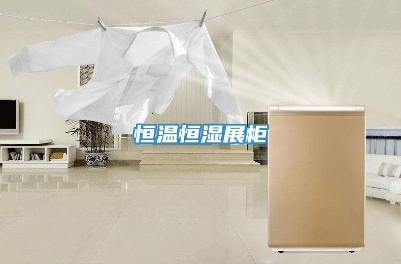 恒溫恒濕展柜