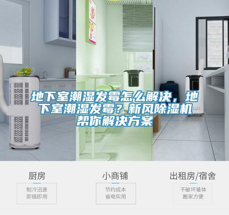 地下室潮濕發霉怎么解決，地下室潮濕發霉？新風除濕機幫你解決方案