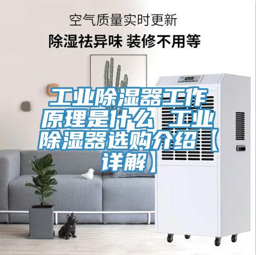 工業除濕器工作原理是什么 工業除濕器選購介紹【詳解】