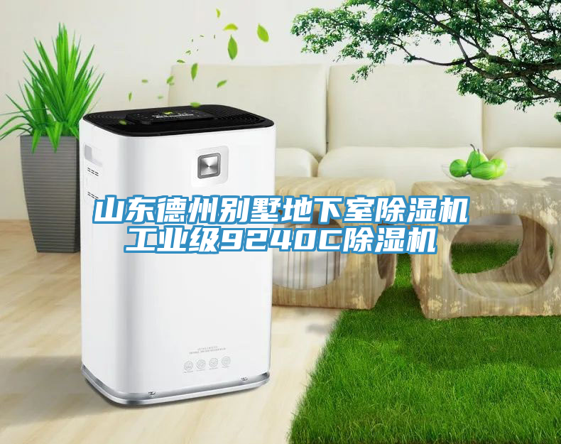 山東德州別墅地下室除濕機工業級9240C除濕機
