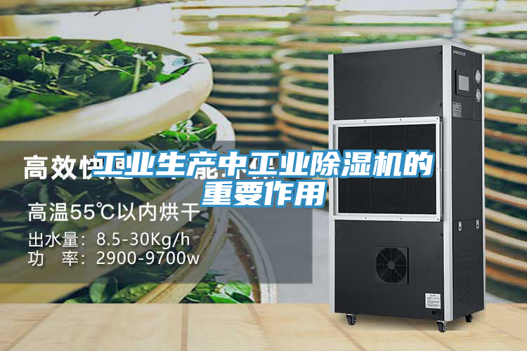 工業生產中工業除濕機的重要作用