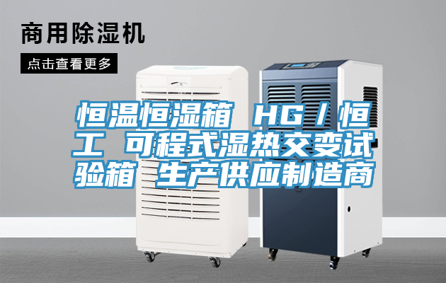 恒溫恒濕箱 HG／恒工 可程式濕熱交變試驗箱 生產供應制造商