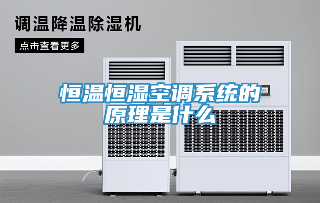 恒溫恒濕空調系統的原理是什么