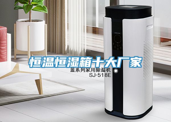 恒溫恒濕箱十大廠家