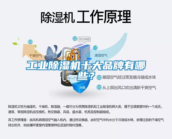 工業除濕機十大品牌有哪些？