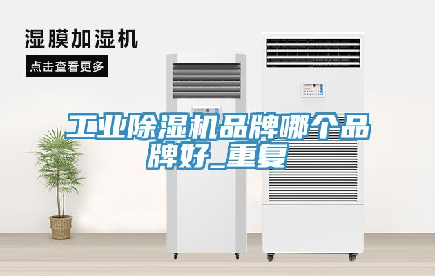 工業除濕機品牌哪個品牌好_重復