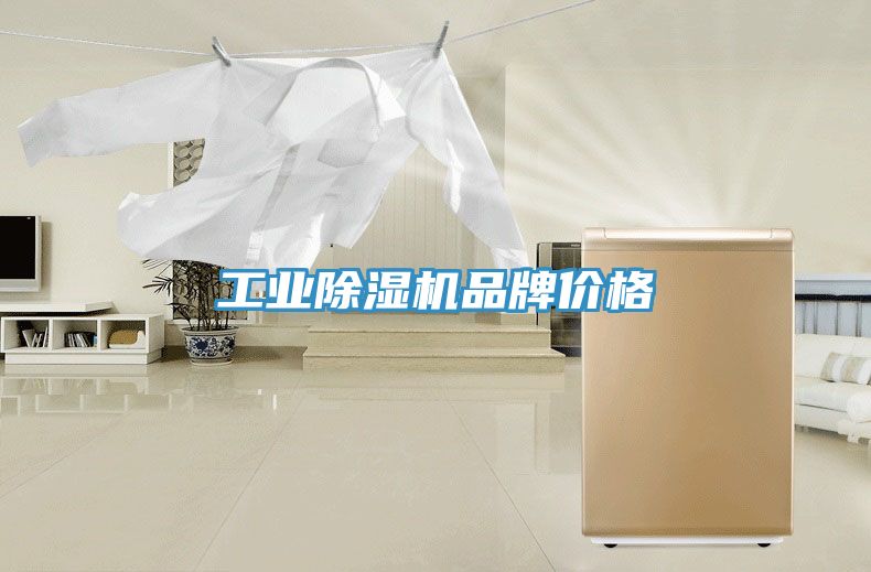 工業除濕機品牌價格