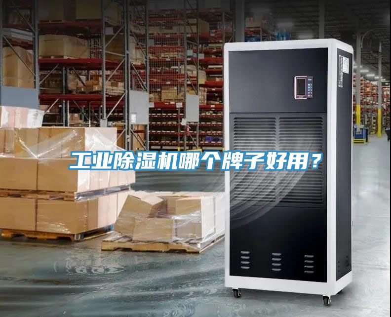 工業除濕機哪個牌子好用？