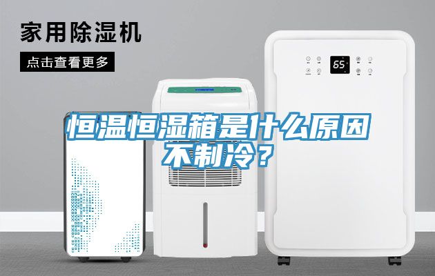恒溫恒濕箱是什么原因不制冷？