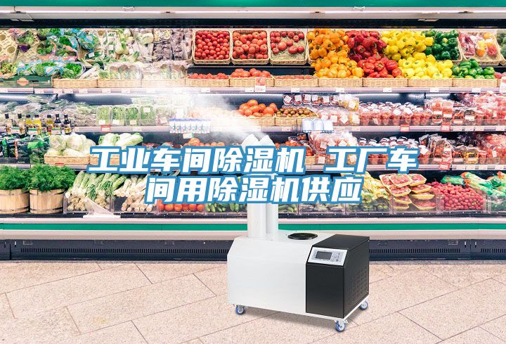 工業車間除濕機 工廠車間用除濕機供應