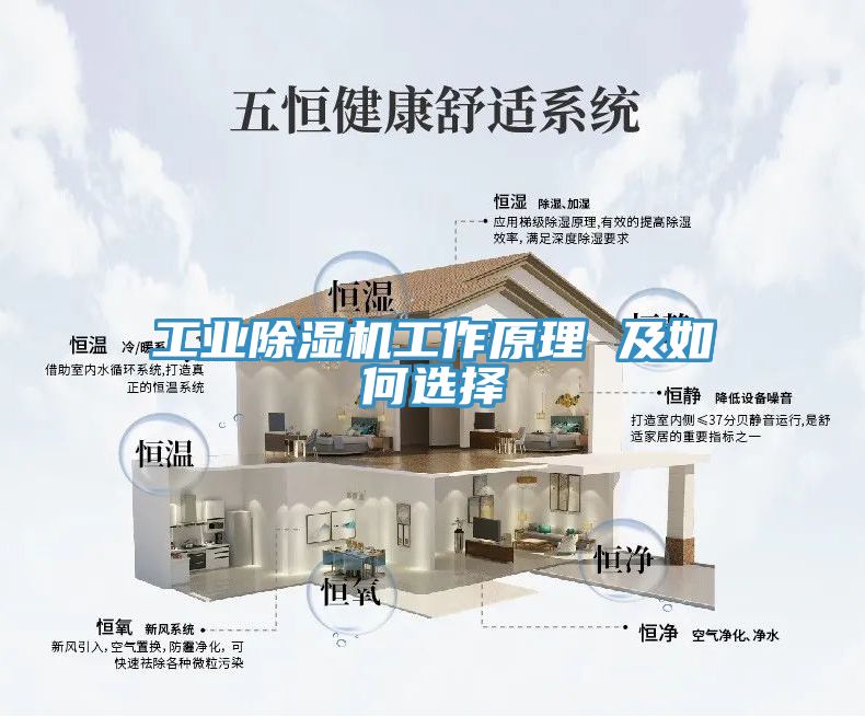 工業除濕機工作原理 及如何選擇