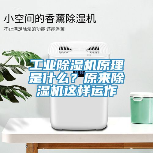 工業除濕機原理是什么？原來除濕機這樣運作