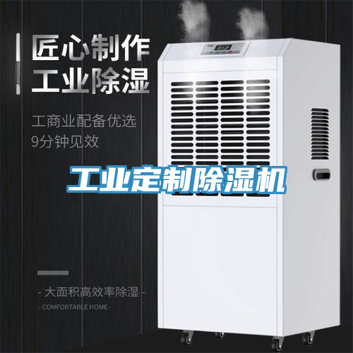 工業定制除濕機