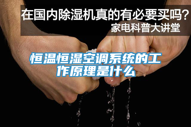 恒溫恒濕空調系統的工作原理是什么