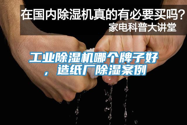 工業除濕機哪個牌子好，造紙廠除濕案例