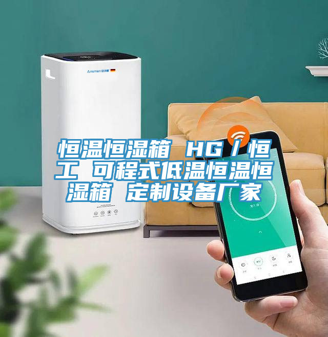 恒溫恒濕箱 HG／恒工 可程式低溫恒溫恒濕箱 定制設備廠家