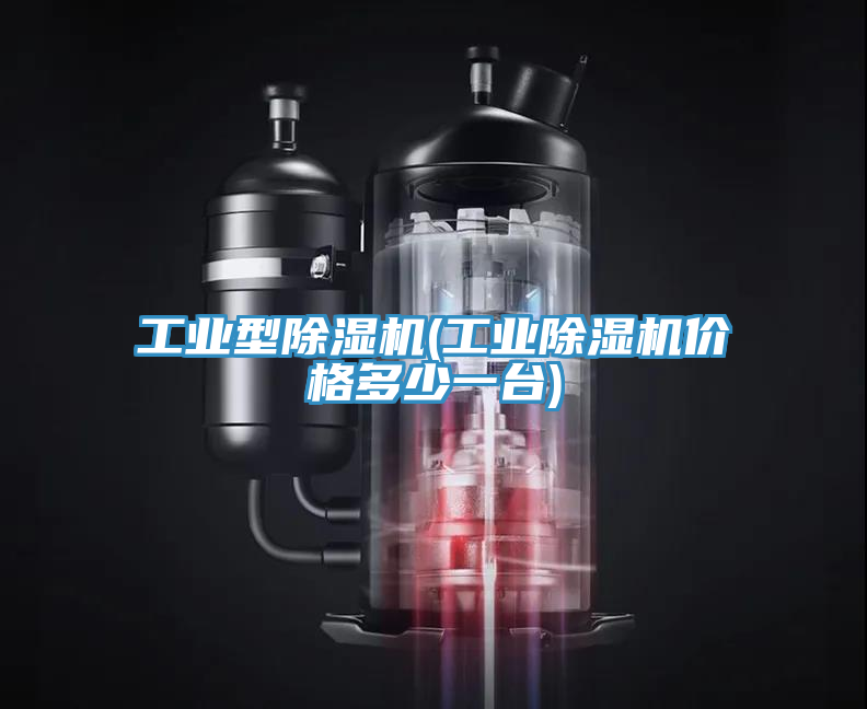 工業型除濕機(工業除濕機價格多少一臺)