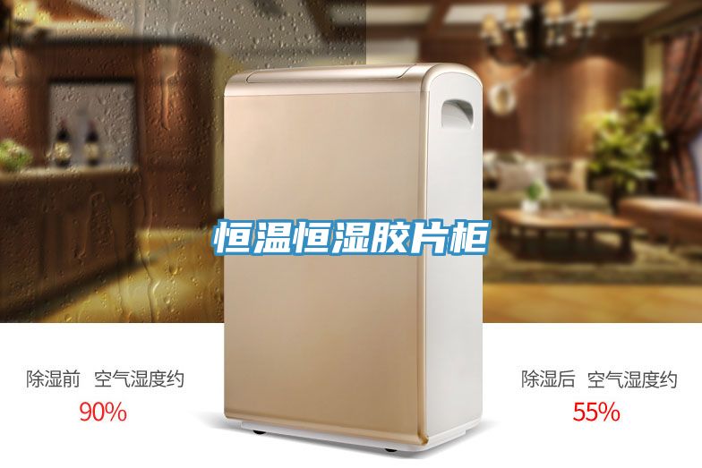 恒溫恒濕膠片柜