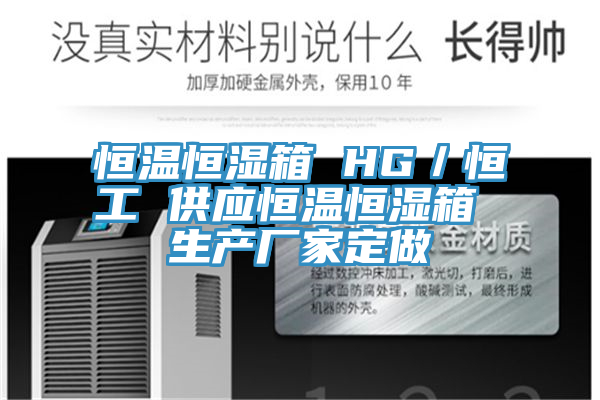 恒溫恒濕箱 HG／恒工 供應恒溫恒濕箱 生產廠家定做