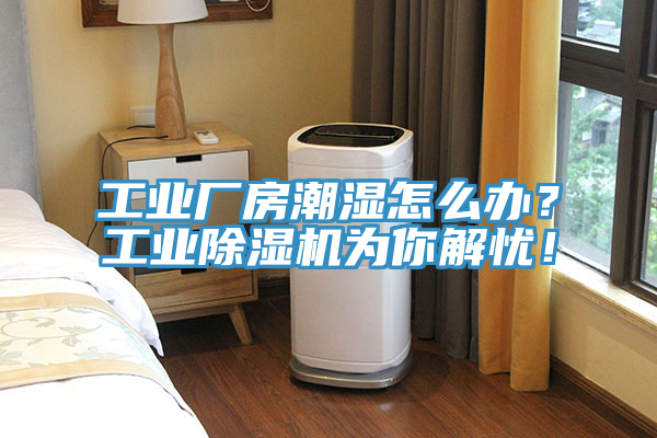 工業廠房潮濕怎么辦？工業除濕機為你解憂！
