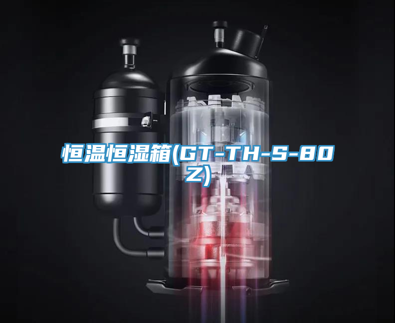 恒溫恒濕箱(GT-TH-S-80Z)