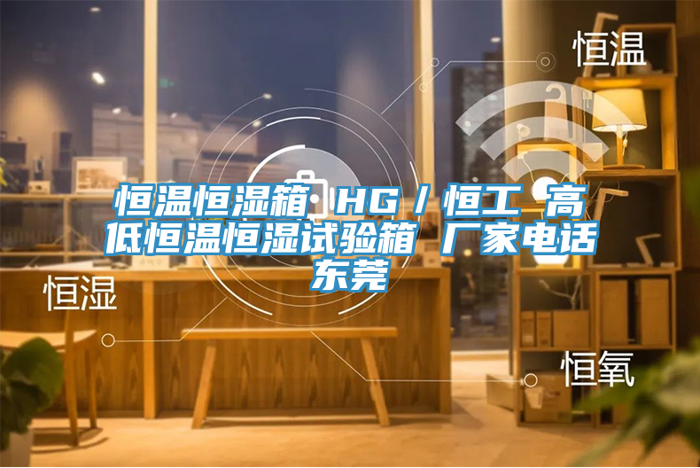 恒溫恒濕箱 HG／恒工 高低恒溫恒濕試驗箱 廠家電話東莞