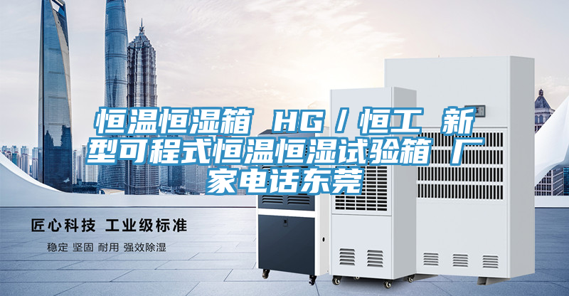 恒溫恒濕箱 HG／恒工 新型可程式恒溫恒濕試驗箱 廠家電話東莞