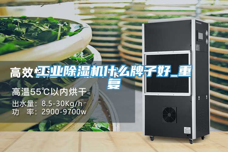 工業除濕機什么牌子好_重復