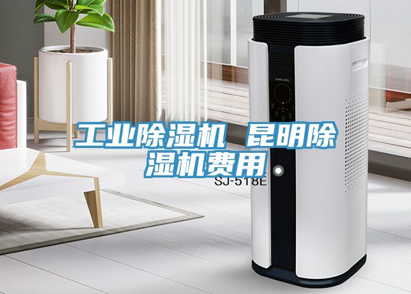 工業除濕機 昆明除濕機費用