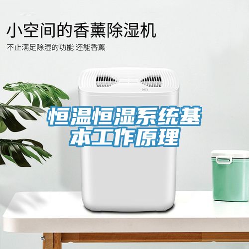 恒溫恒濕系統基本工作原理