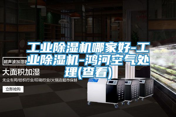工業除濕機哪家好-工業除濕機-鴻河空氣處理(查看)