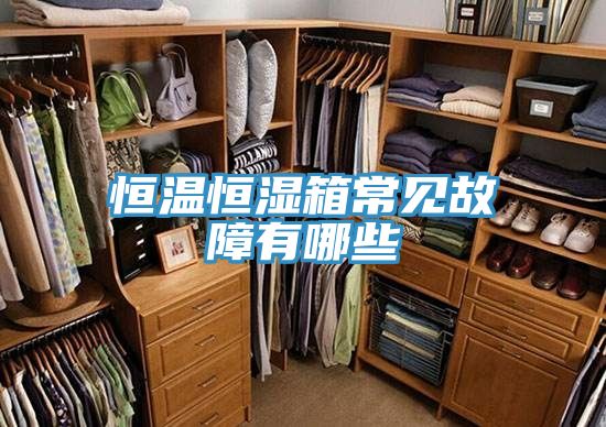 恒溫恒濕箱常見故障有哪些