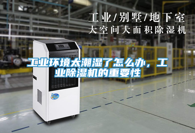 工業環境太潮濕了怎么辦，工業除濕機的重要性