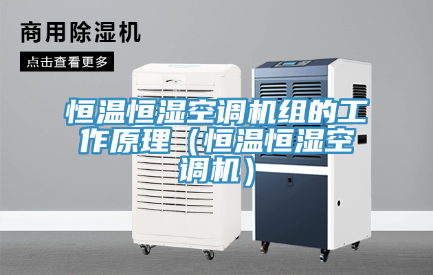 恒溫恒濕空調機組的工作原理（恒溫恒濕空調機）