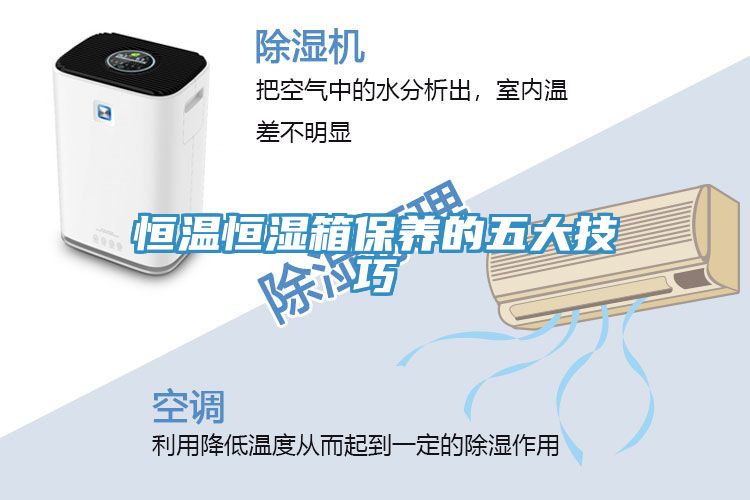 恒溫恒濕箱保養的五大技巧
