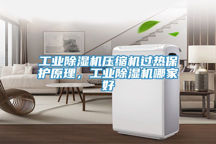 工業除濕機壓縮機過熱保護原理，工業除濕機哪家好