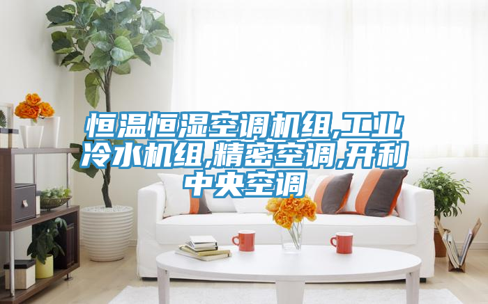 恒溫恒濕空調機組,工業冷水機組,精密空調,開利中央空調