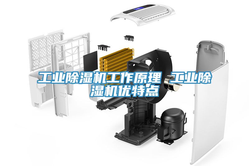 工業除濕機工作原理 工業除濕機優特點