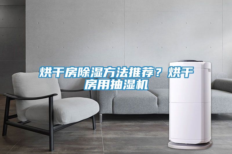 烘干房除濕方法推薦？烘干房用抽濕機
