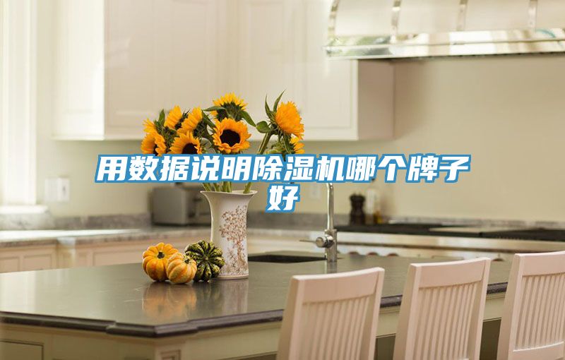 用數據說明除濕機哪個牌子好
