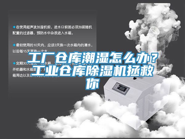 工廠倉庫潮濕怎么辦？工業倉庫除濕機拯救你