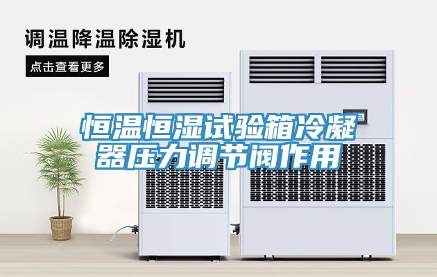 恒溫恒濕試驗箱冷凝器壓力調節閥作用