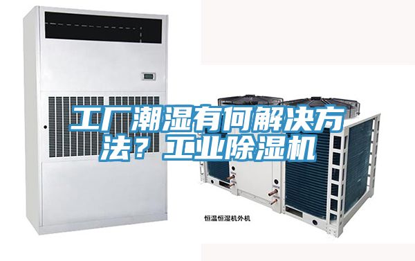 工廠潮濕有何解決方法？工業除濕機