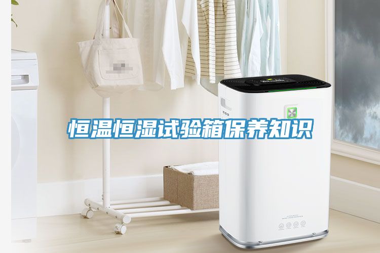恒溫恒濕試驗箱保養知識