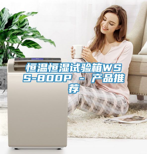 恒溫恒濕試驗箱WSS-800P - 產品推薦