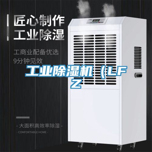 工業除濕機（LFZ