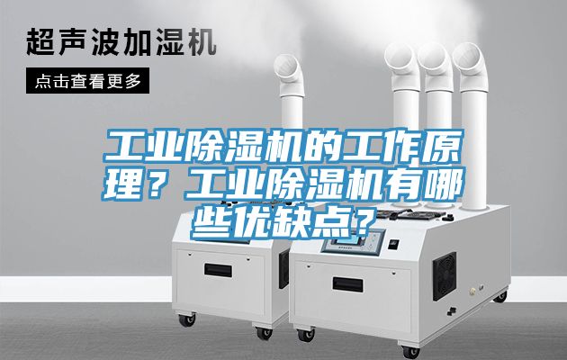 工業除濕機的工作原理？工業除濕機有哪些優缺點？